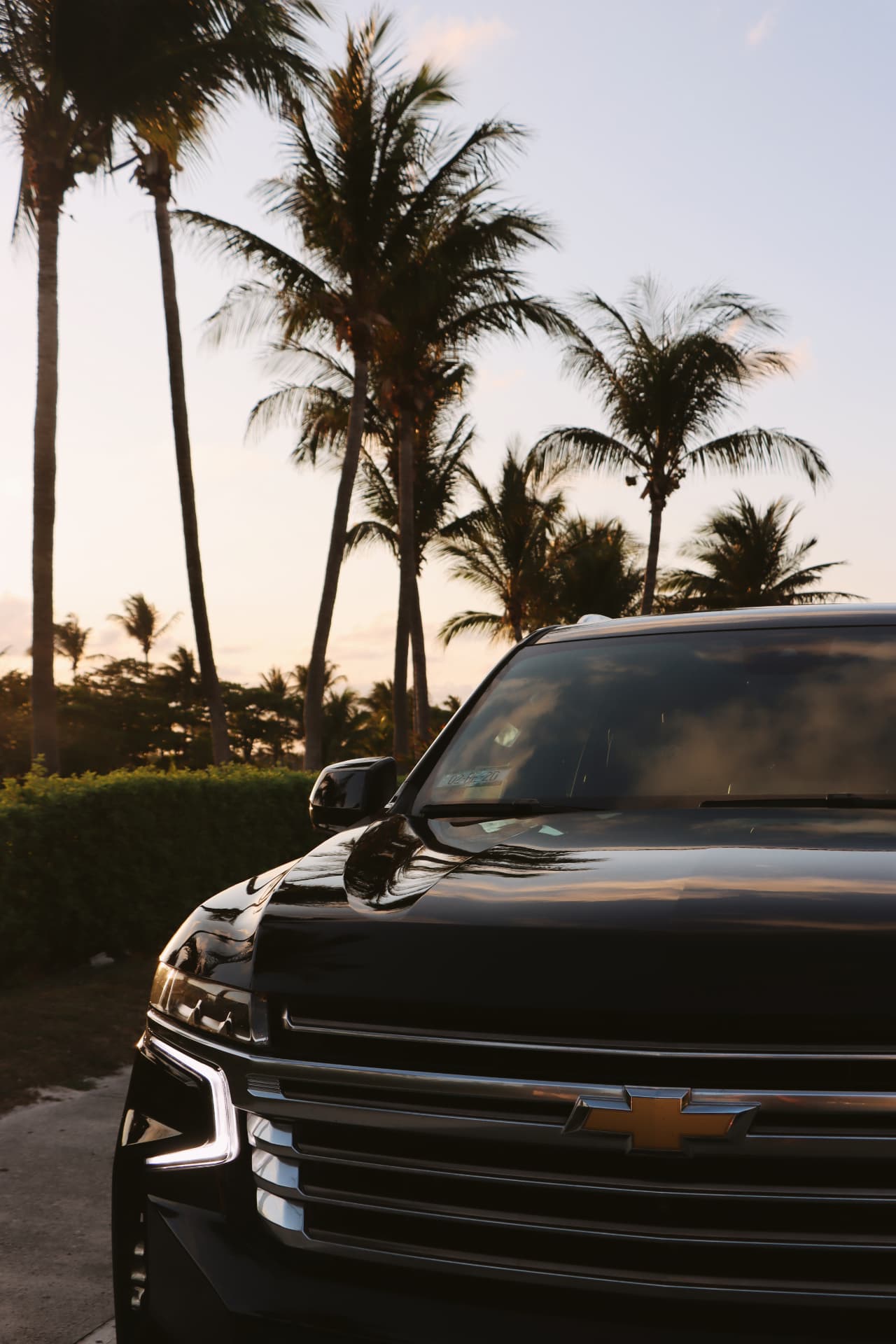 Frente de Chevrolet Suburban negra con palmeras al atardecer